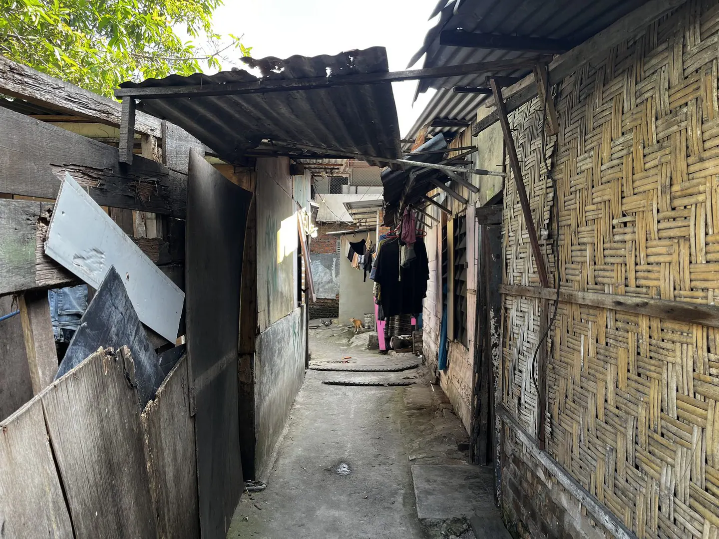 Kampung Tepi Sungai Deli, thumbnail 7