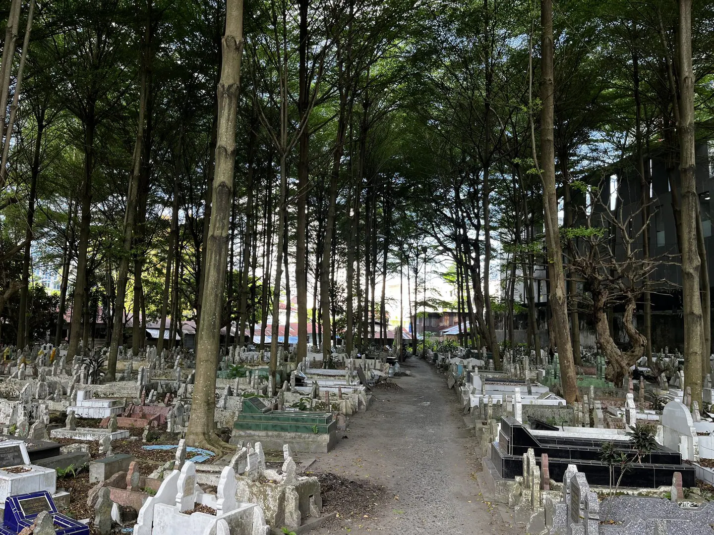 Perkuburan Sei Deli 3, thumbnail 5