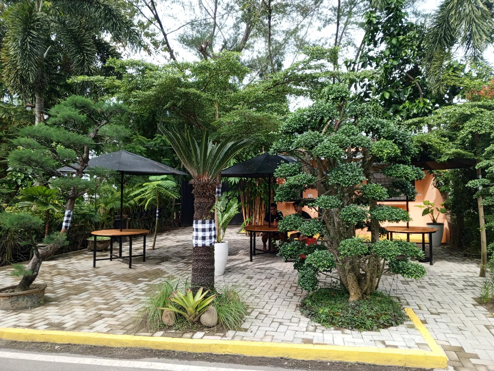 Bamboo Bali Cafe