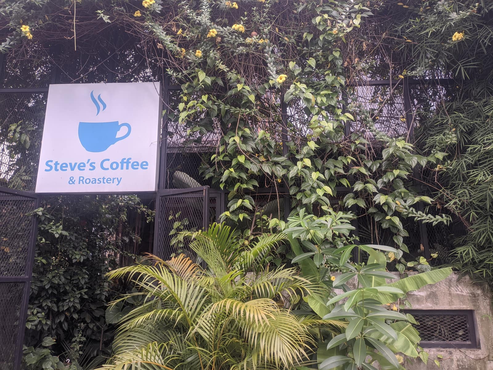 Steve's Coffee